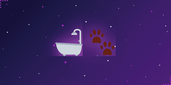 Seu pet precisa de quê AGORA? 🛁